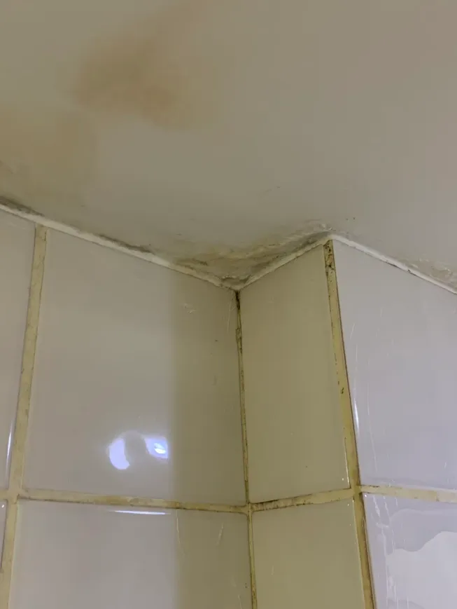 Infiltração em parede